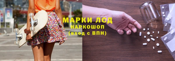 сатива Мегион