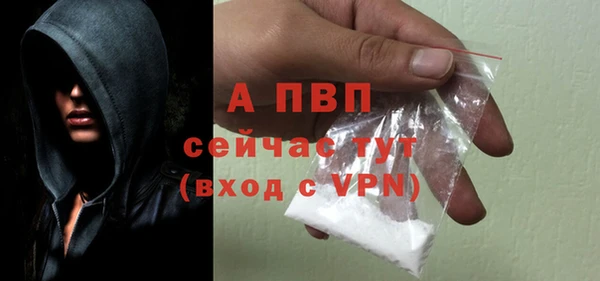 сатива Мегион